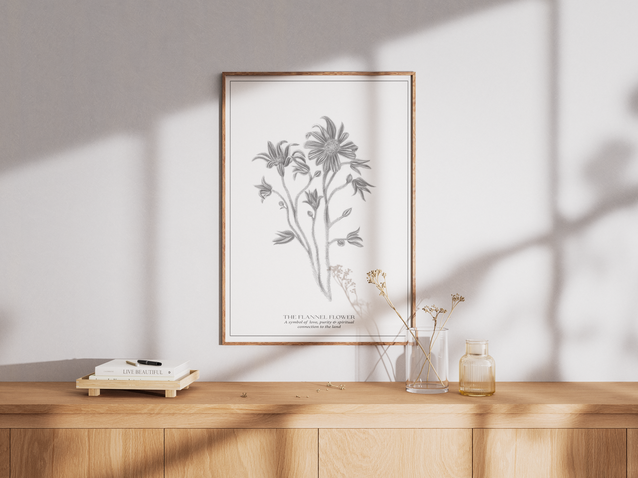 The Flannel Flower Botanical Art Print
