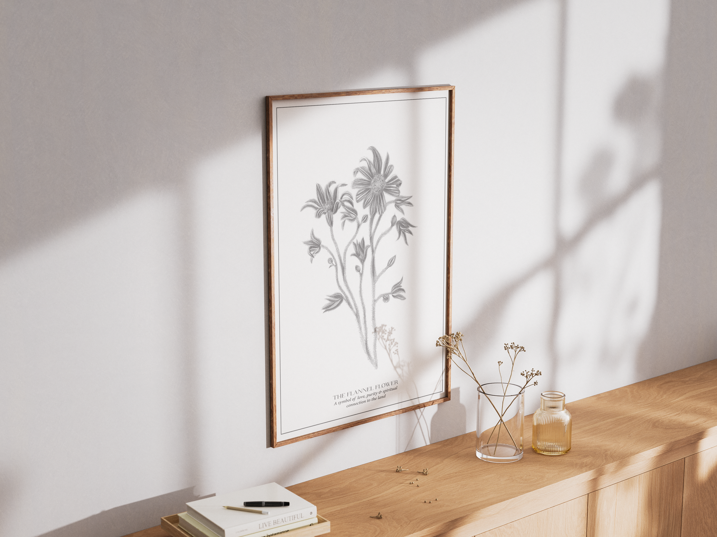 The_flannel_flower_framed_2.png