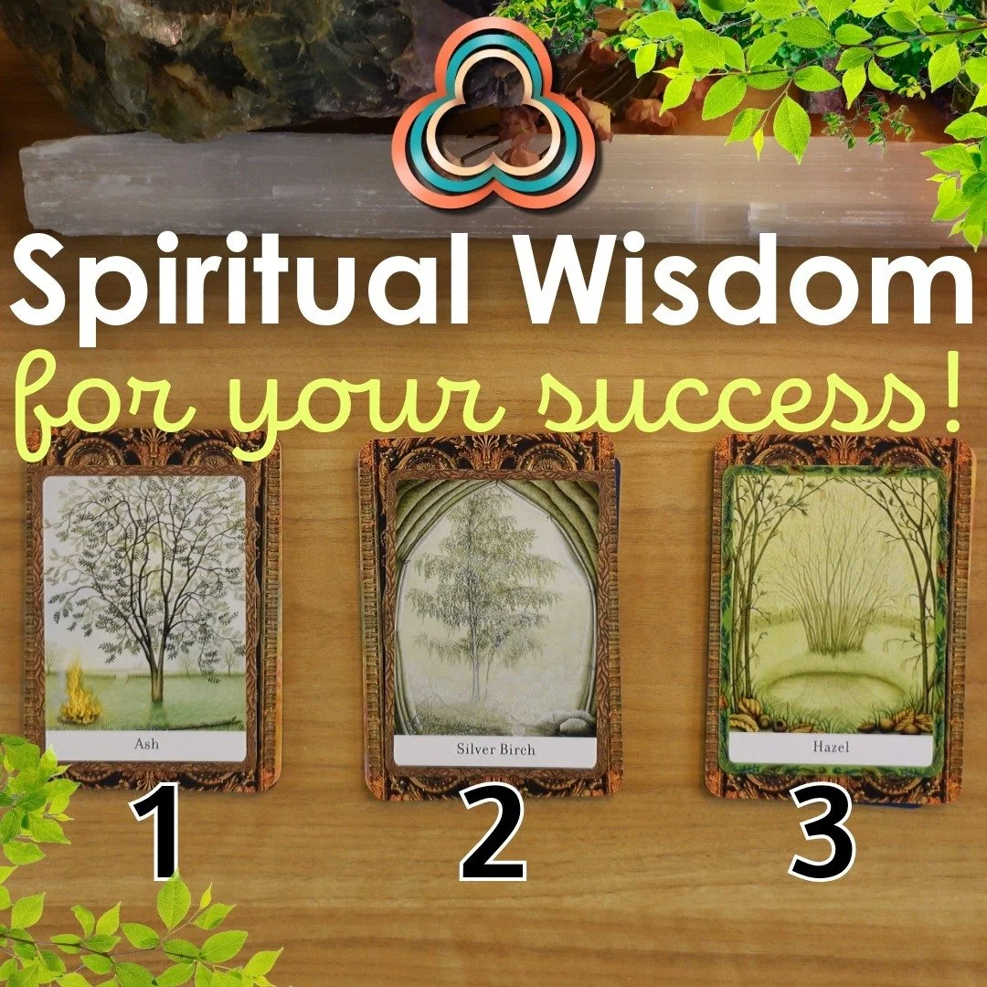 New pick a card on my YouTube Channel!🌳✨
#intuitvetarotreadings #tarotreadings #pickacardreading #spiritualmessages
