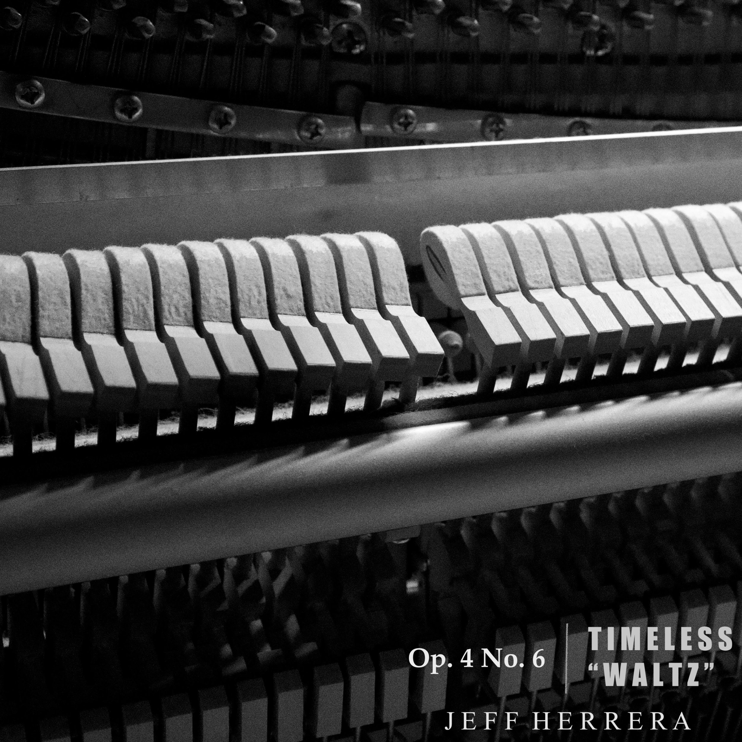 TW FINAL ART_3000.jpeg