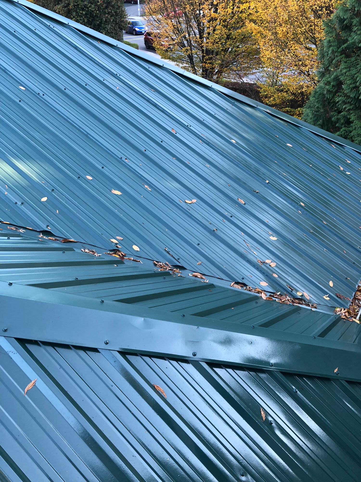 repainting-tin-roof-abbotsford15.jpg