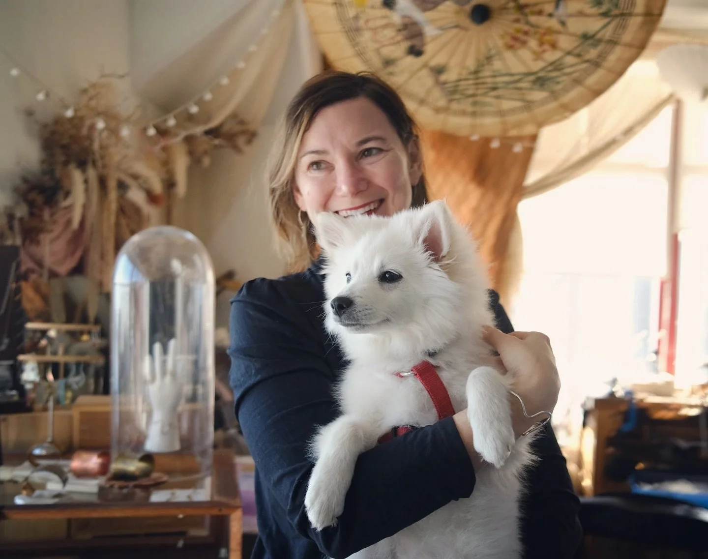 Loire&rsquo;s first day as a studio pup at the Torpedo Factory. He&rsquo;s been meeting all his new friends and melting hearts of visitors. 📸: Bianca Bakonyi