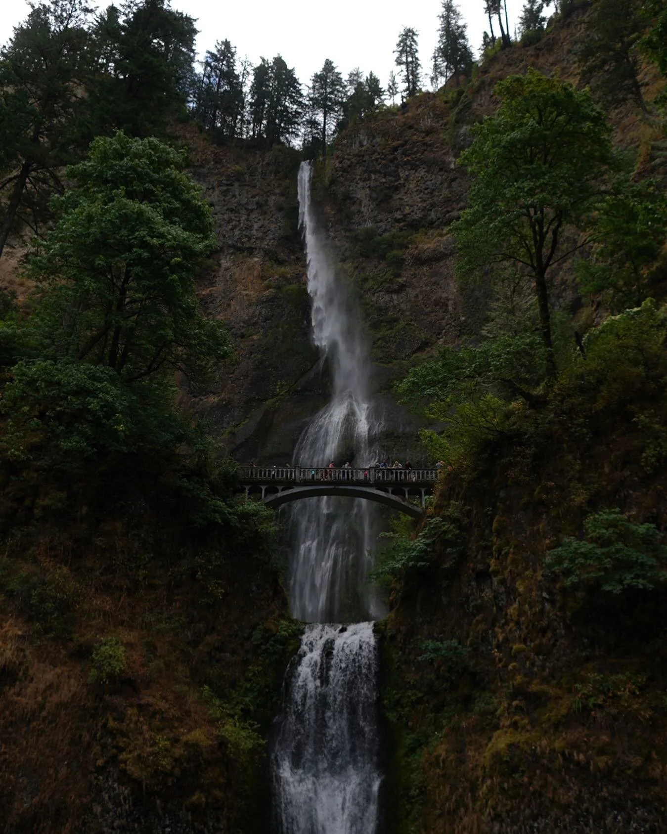 #multnomahfalls #oregon