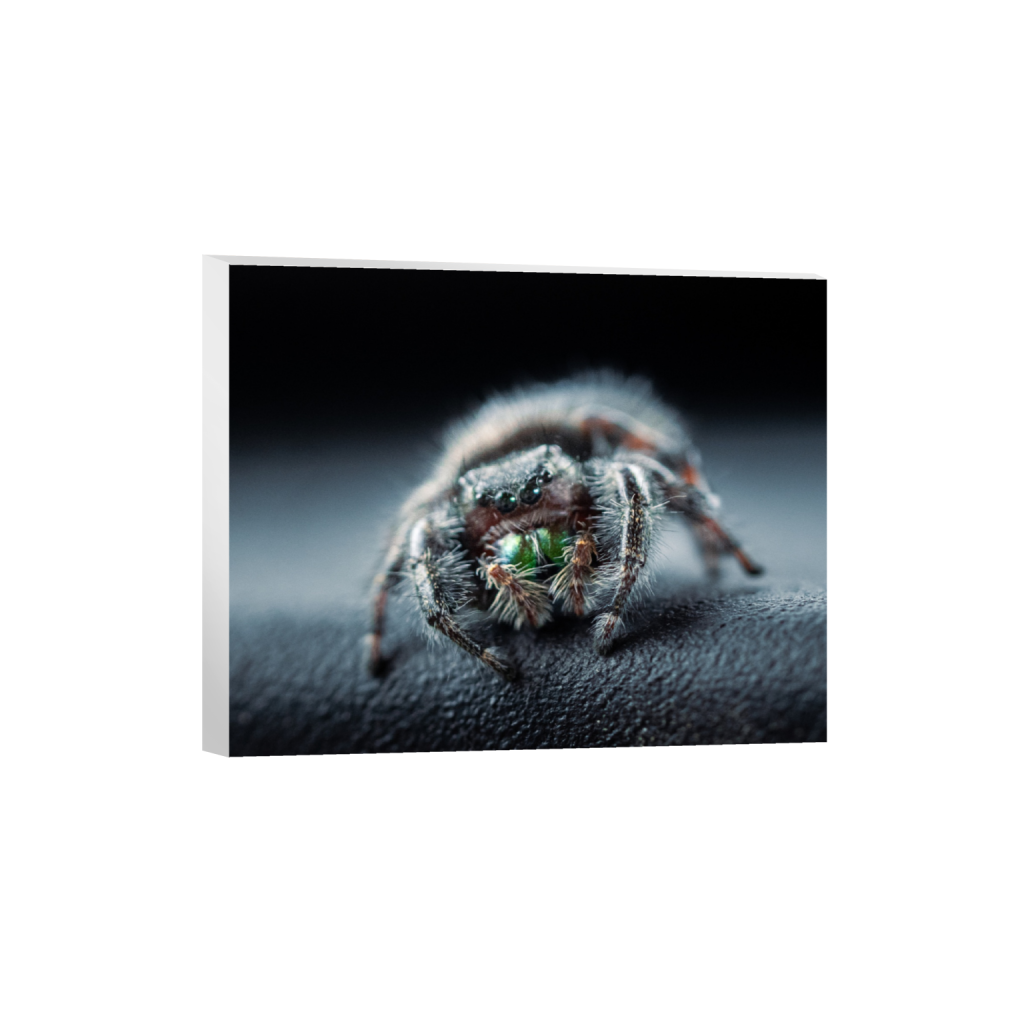 ptq_7_6_528_0_2500_2000_0_false_ffffff_0_0_.png