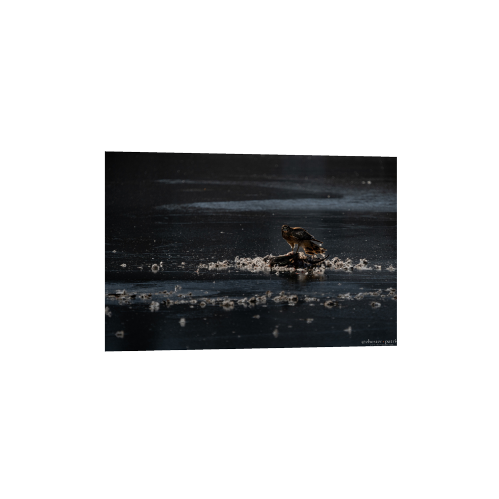ptq_34_3_0_0_4750_3167_0_false_ffffff_0_0_.png