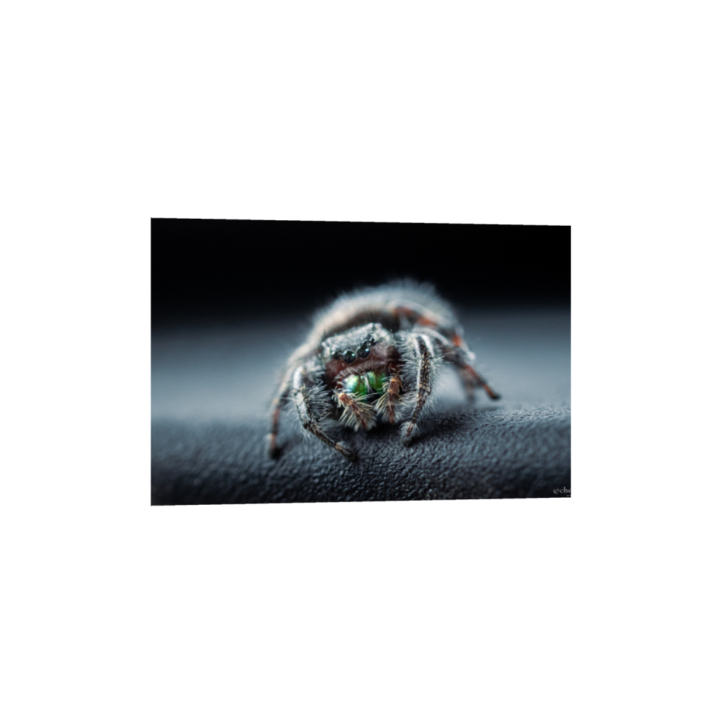 ptq_1_3_278_0_3000_2000_0_false_ffffff_0_0_.png