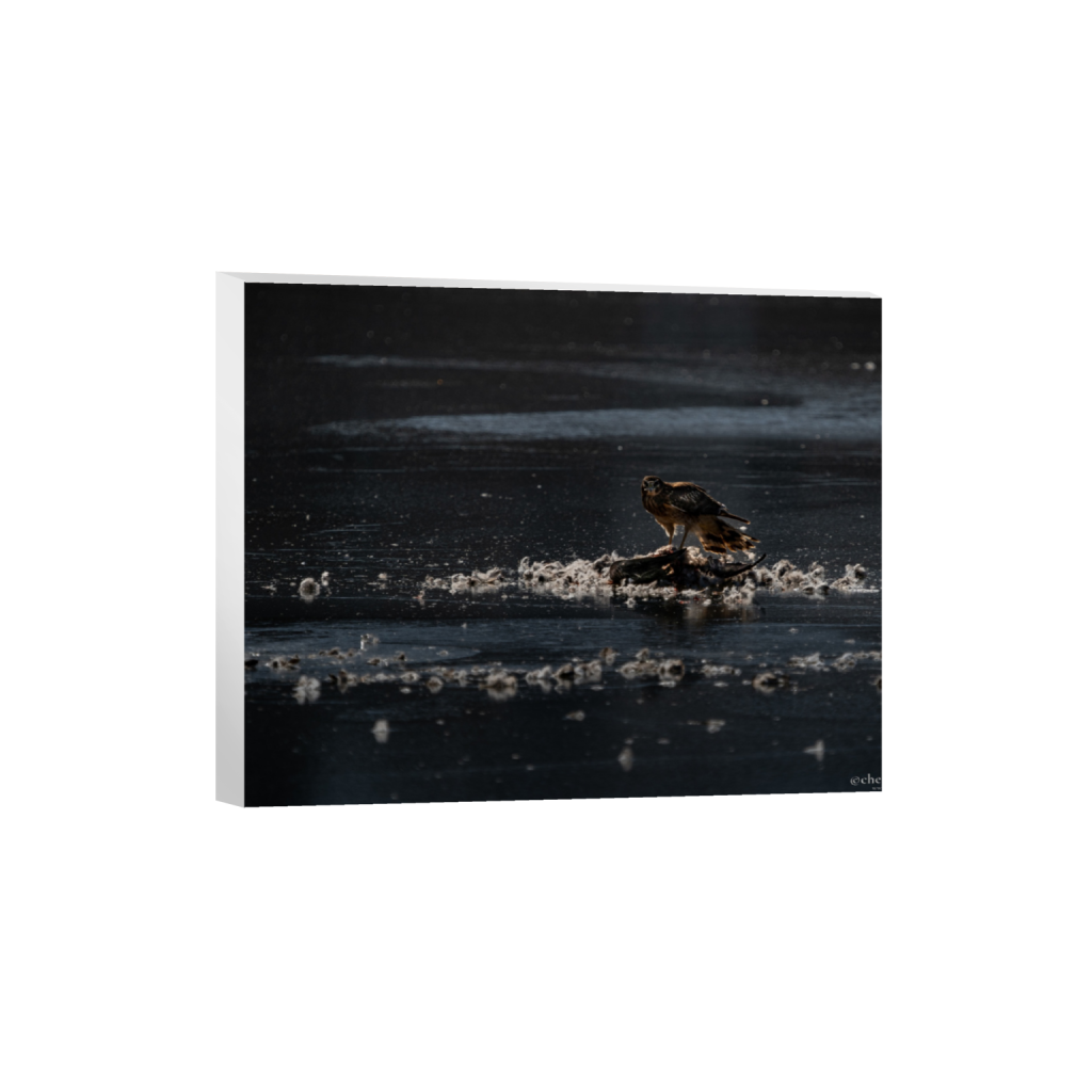 ptq_7_6_396_0_3958_3167_0_false_ffffff_0_0_.png