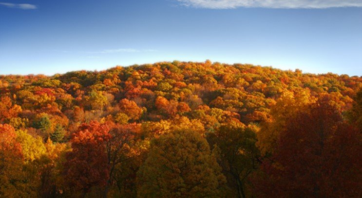 Picture4.jpg