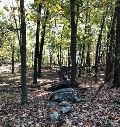 Emcc trail 1.jpg