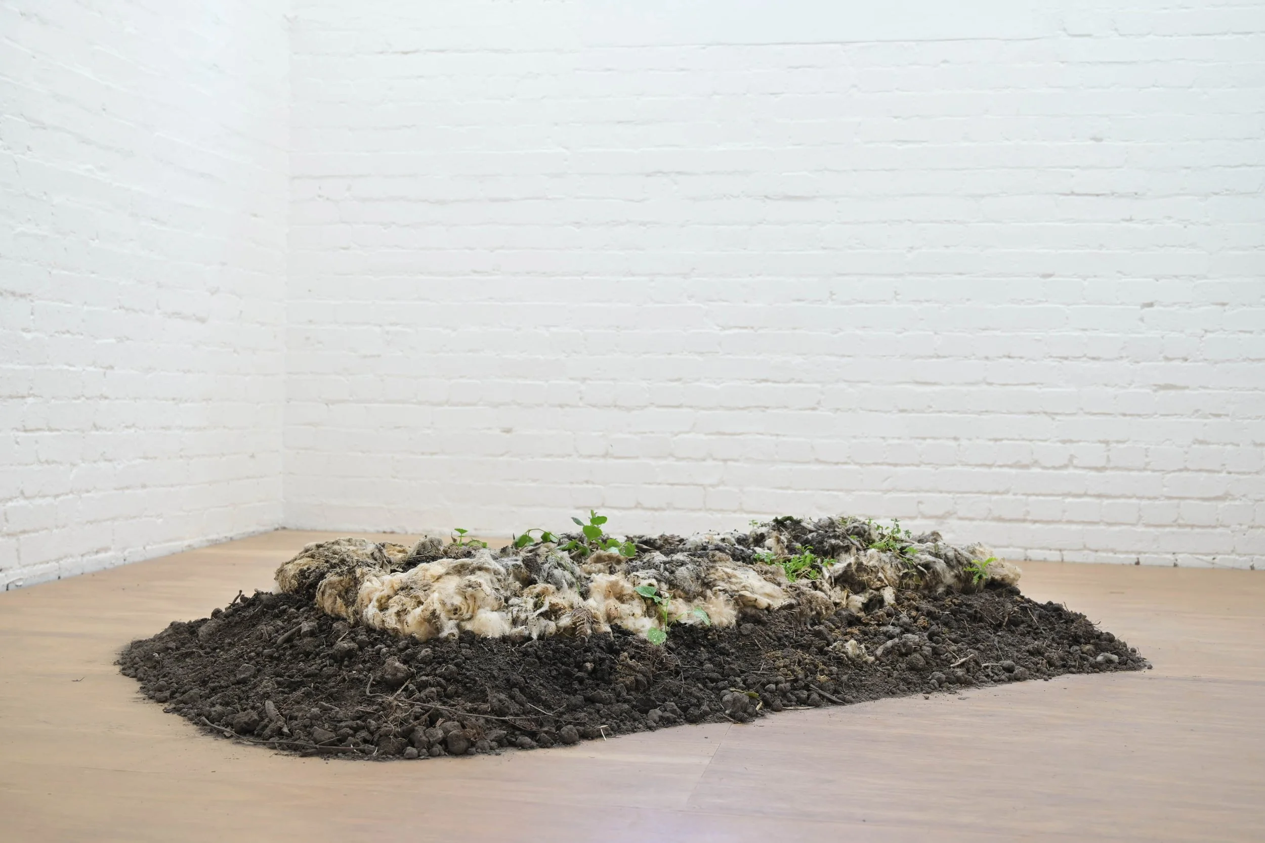 can colonialsm be like compost.jpg