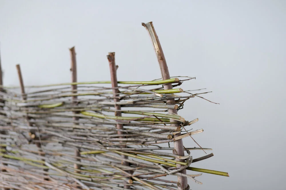 The Felling of the Oak of Jupiter