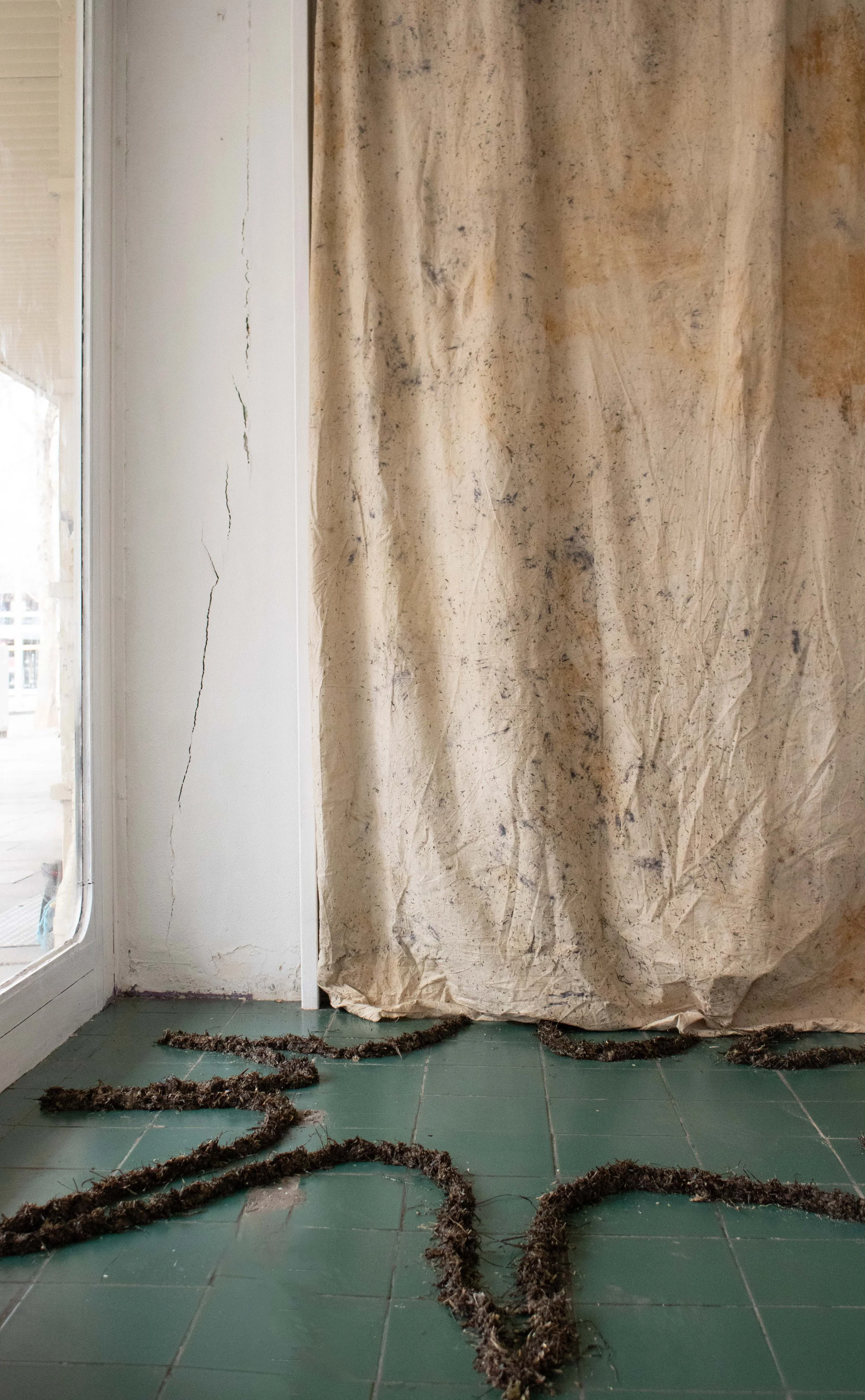 Dear Future, Love Grandmother Seal