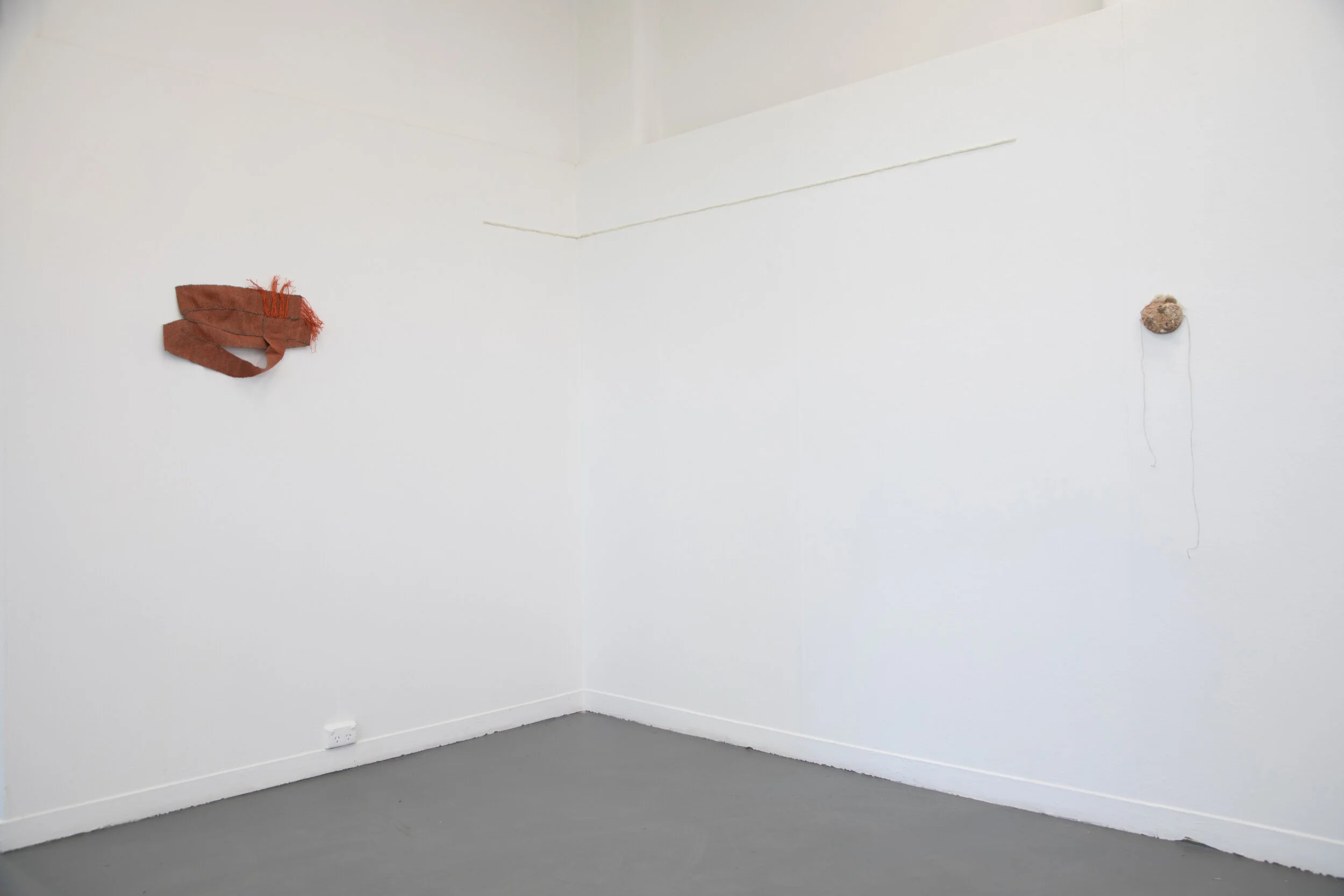 _E3A7193 smallcopy.jpg