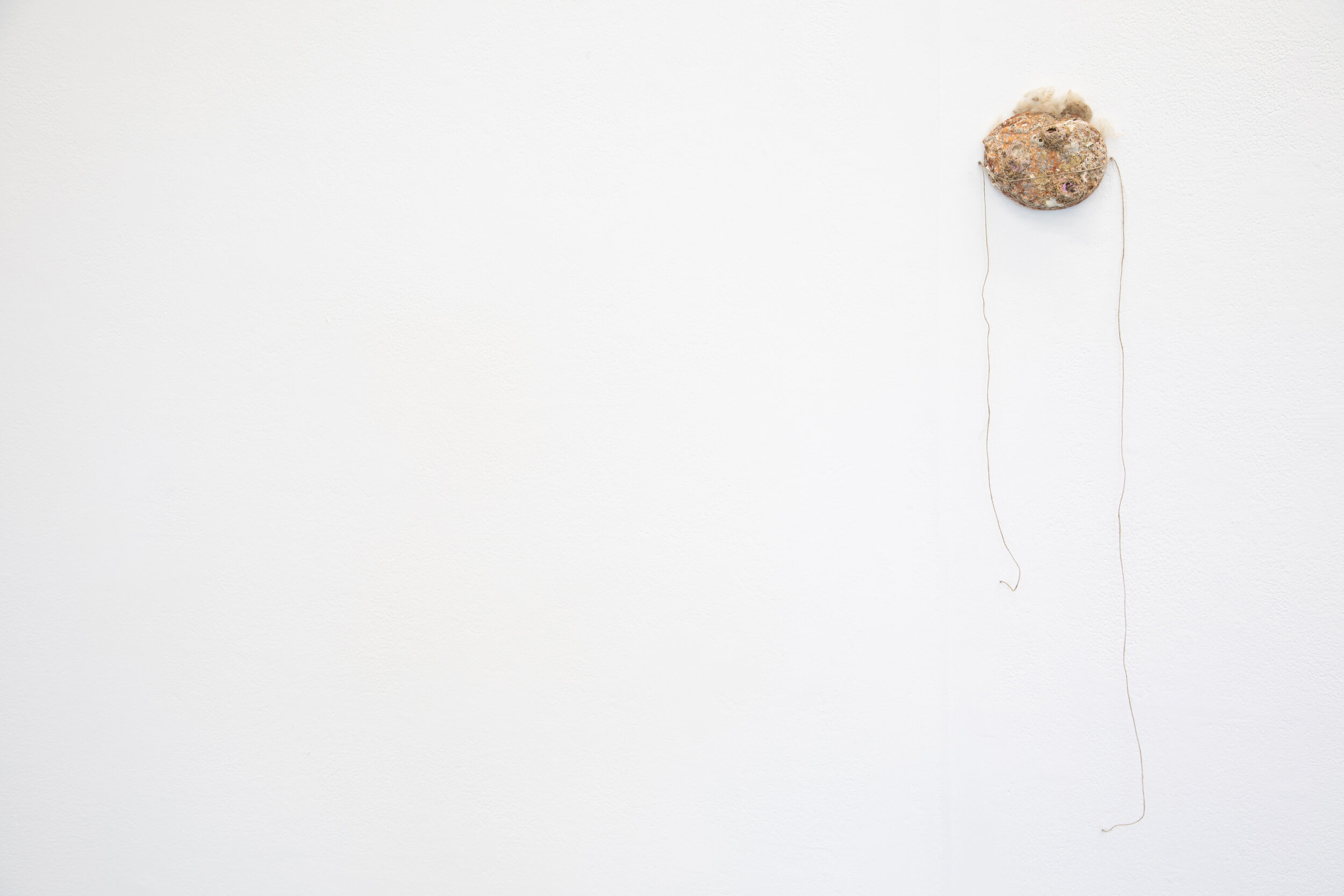 _E3A7205 smallcopy.jpg