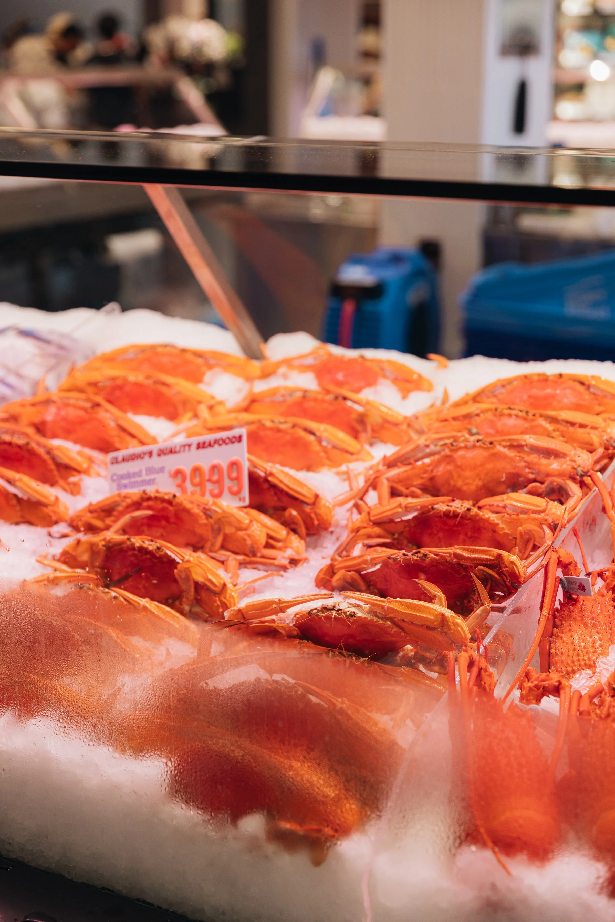 WIP_SYD_FISH_MARKET_5FL4563.jpg