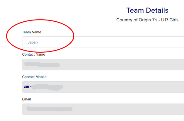 Register a Team_ STEP4.png