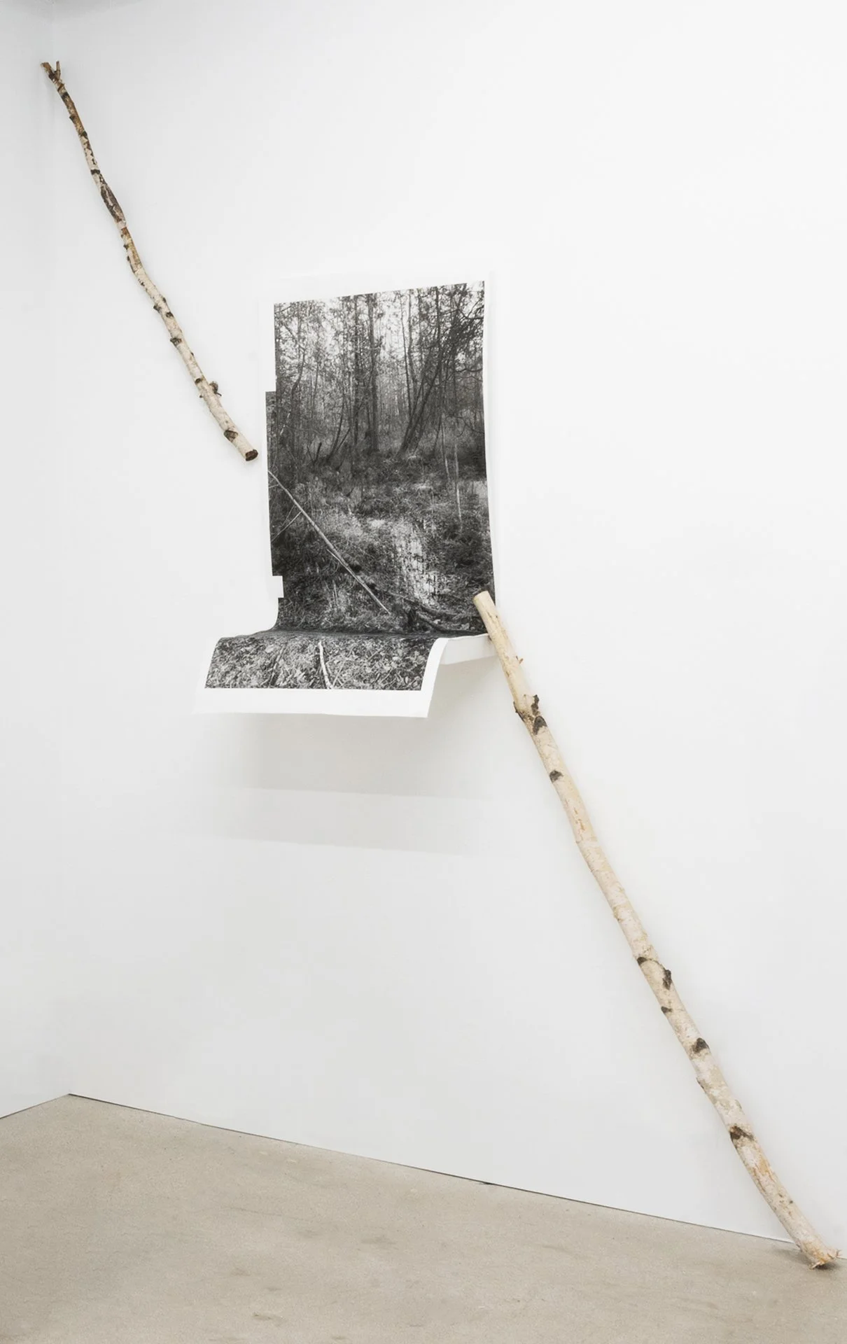 4. Warpinski_GroundWater_Kangaroo Lake_mixed media installation_variable 96X96_2024.jpg
