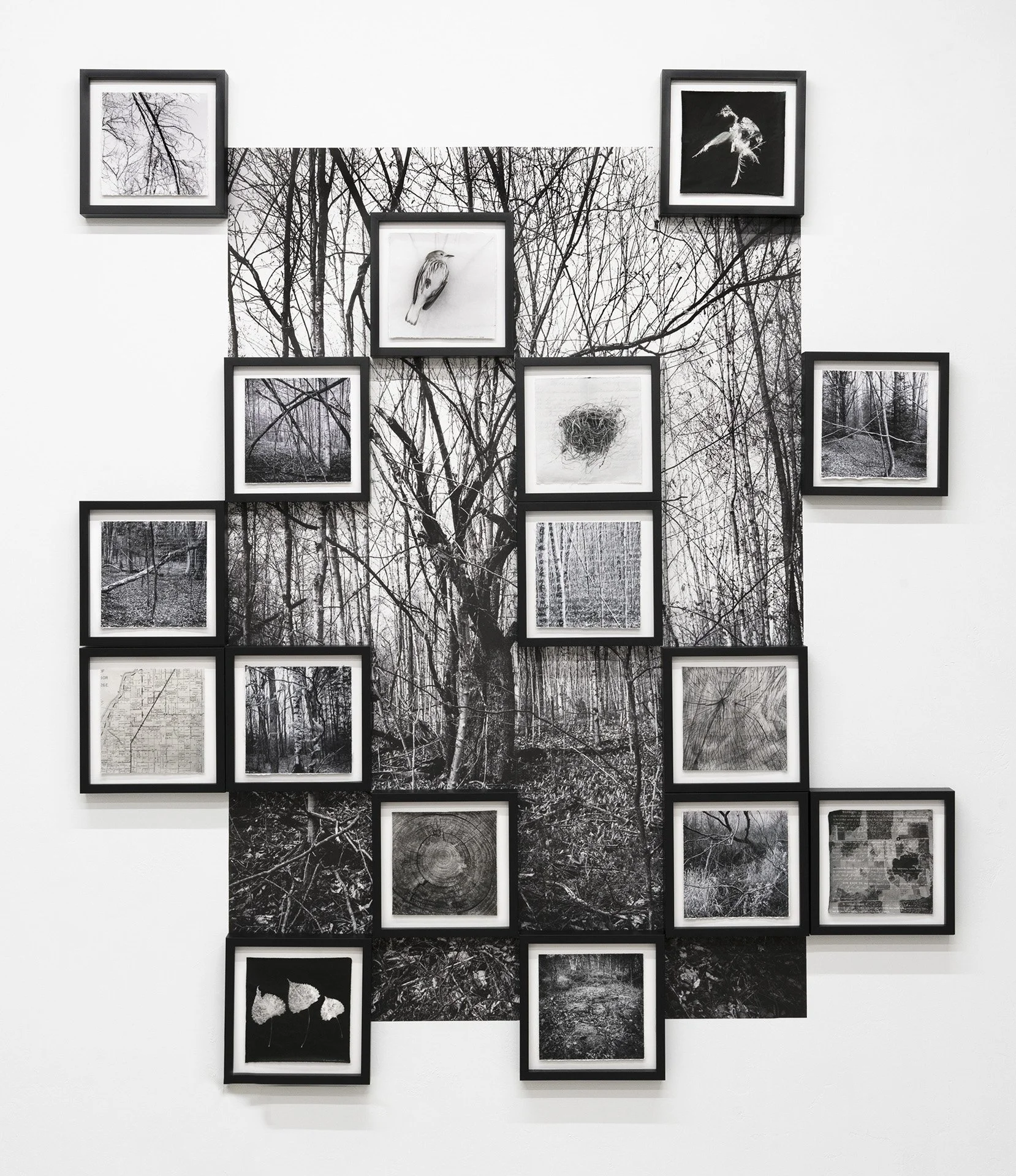 2.Warpinski_Field Study for Recovery_Insttallation_55X 77X2_Mixed media installation_2023.jpg