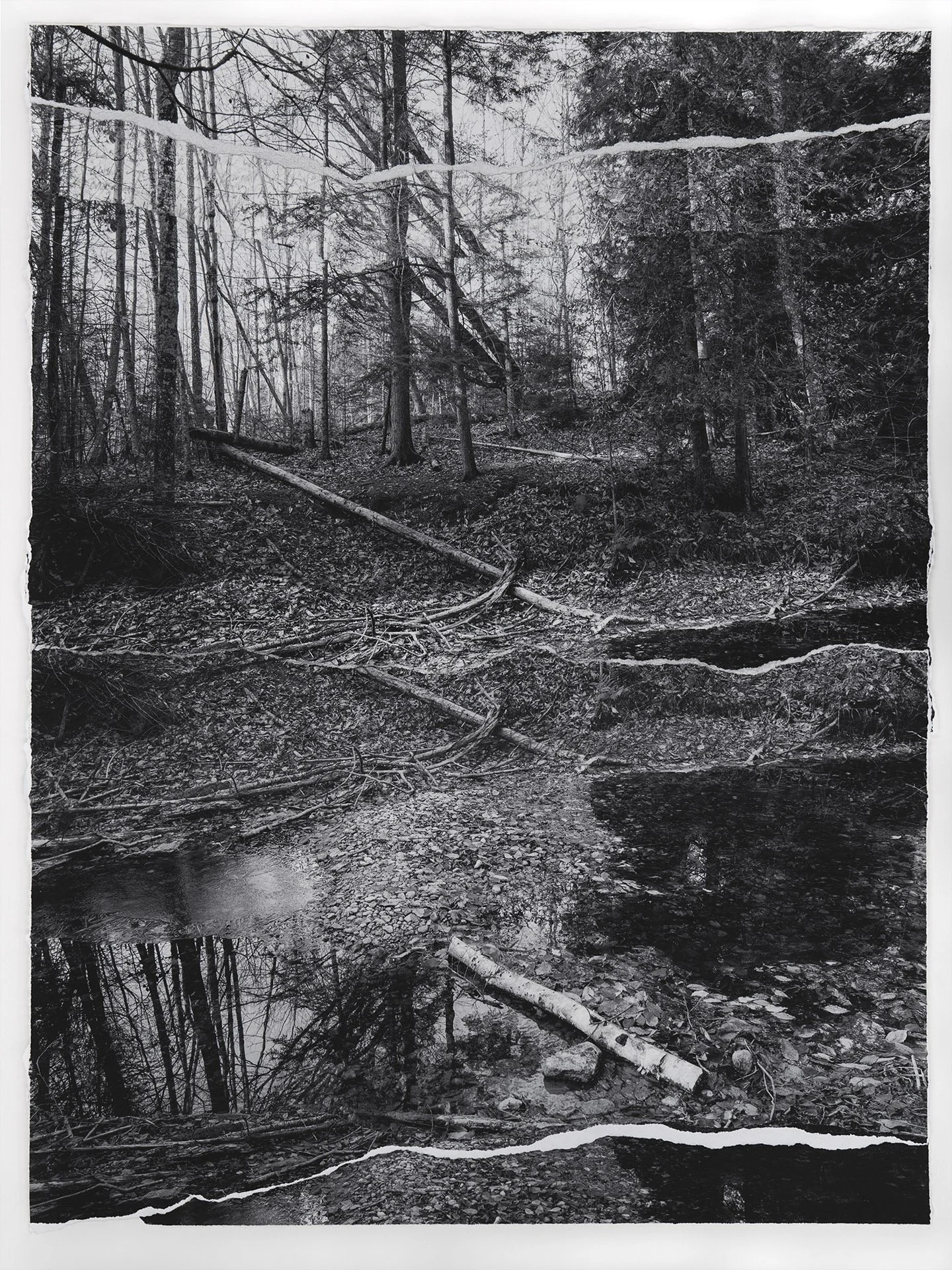1.Warpinski_Heins Creek Remains_mixed media collage_25 X32_2022 .jpg