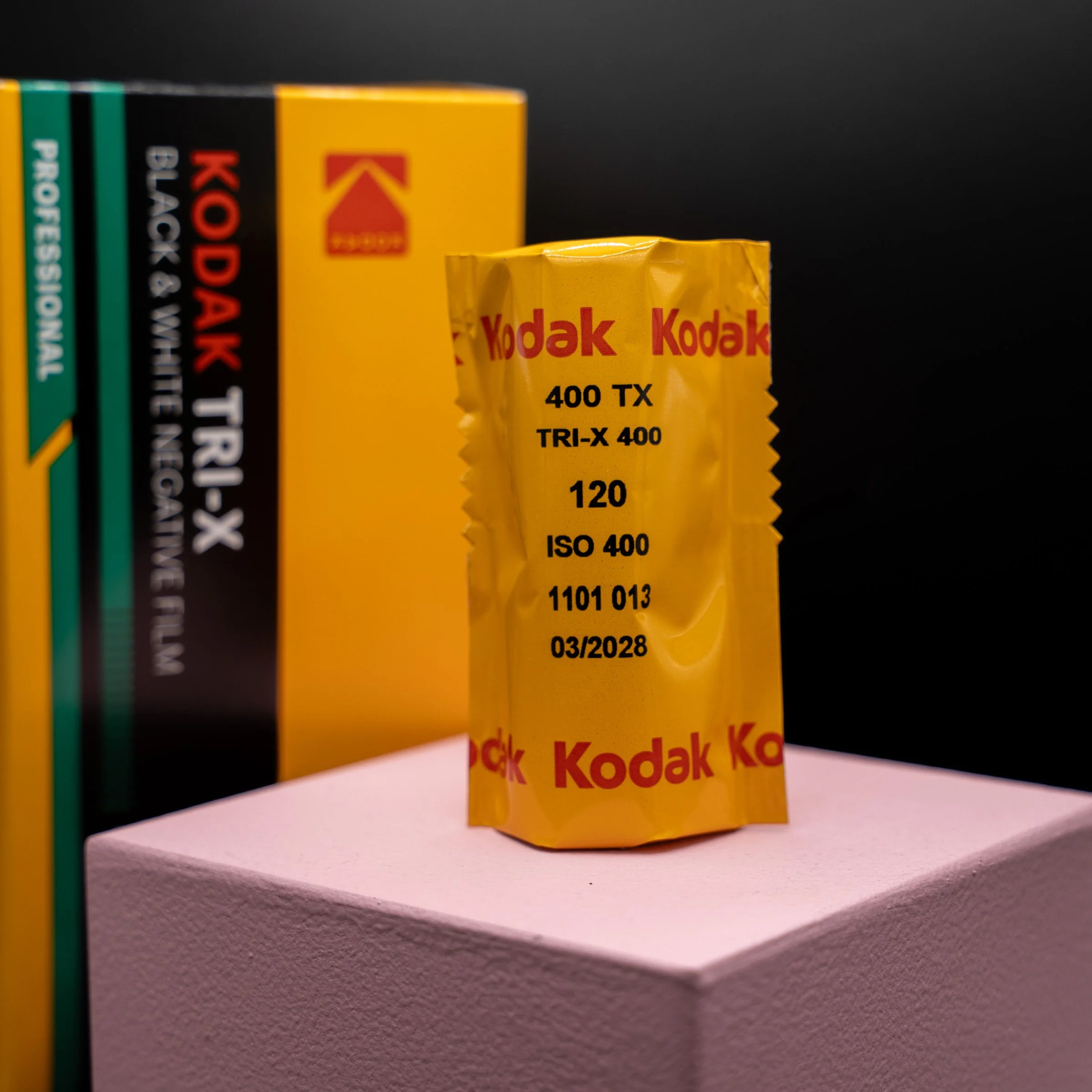 120 Kodak Professional Tri-X 400 Black and White Negative Film  (120)