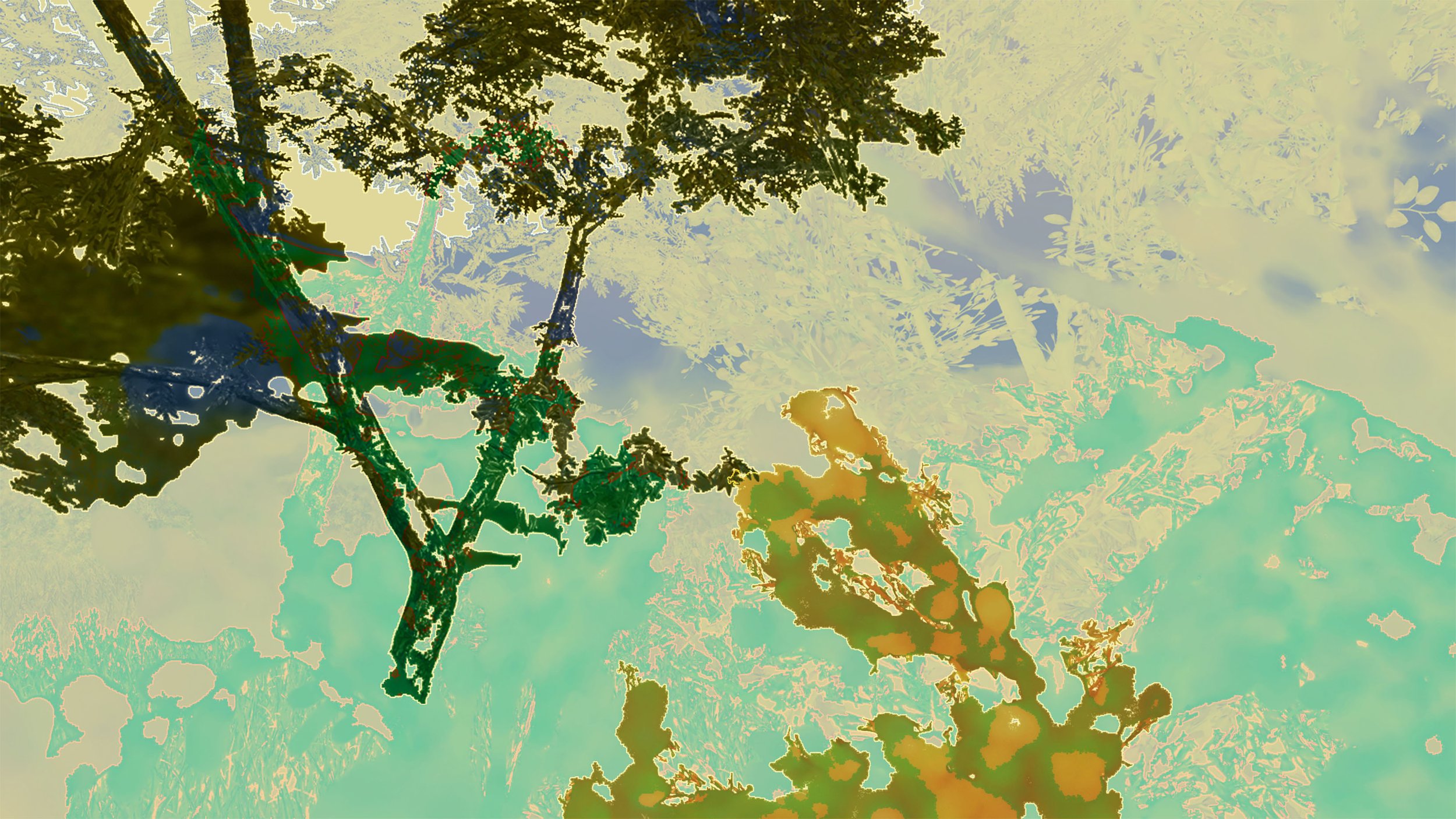Why Plants Matter.jpg