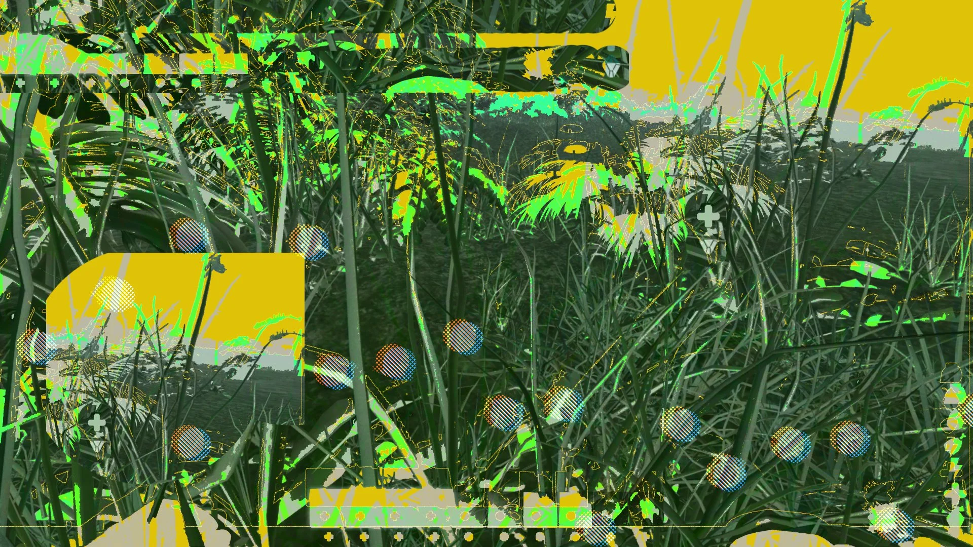 TOUCH_Grass copy.jpg