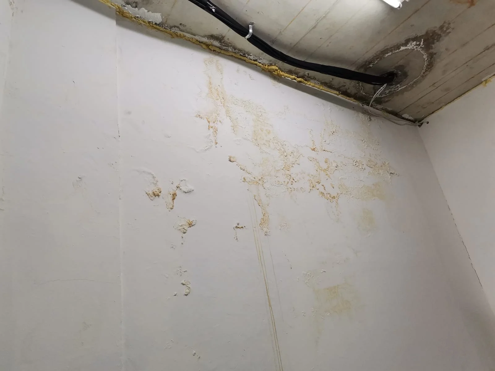 WhatsApp Image 2022-02-08 at 3.28.28 PM (1).jpeg