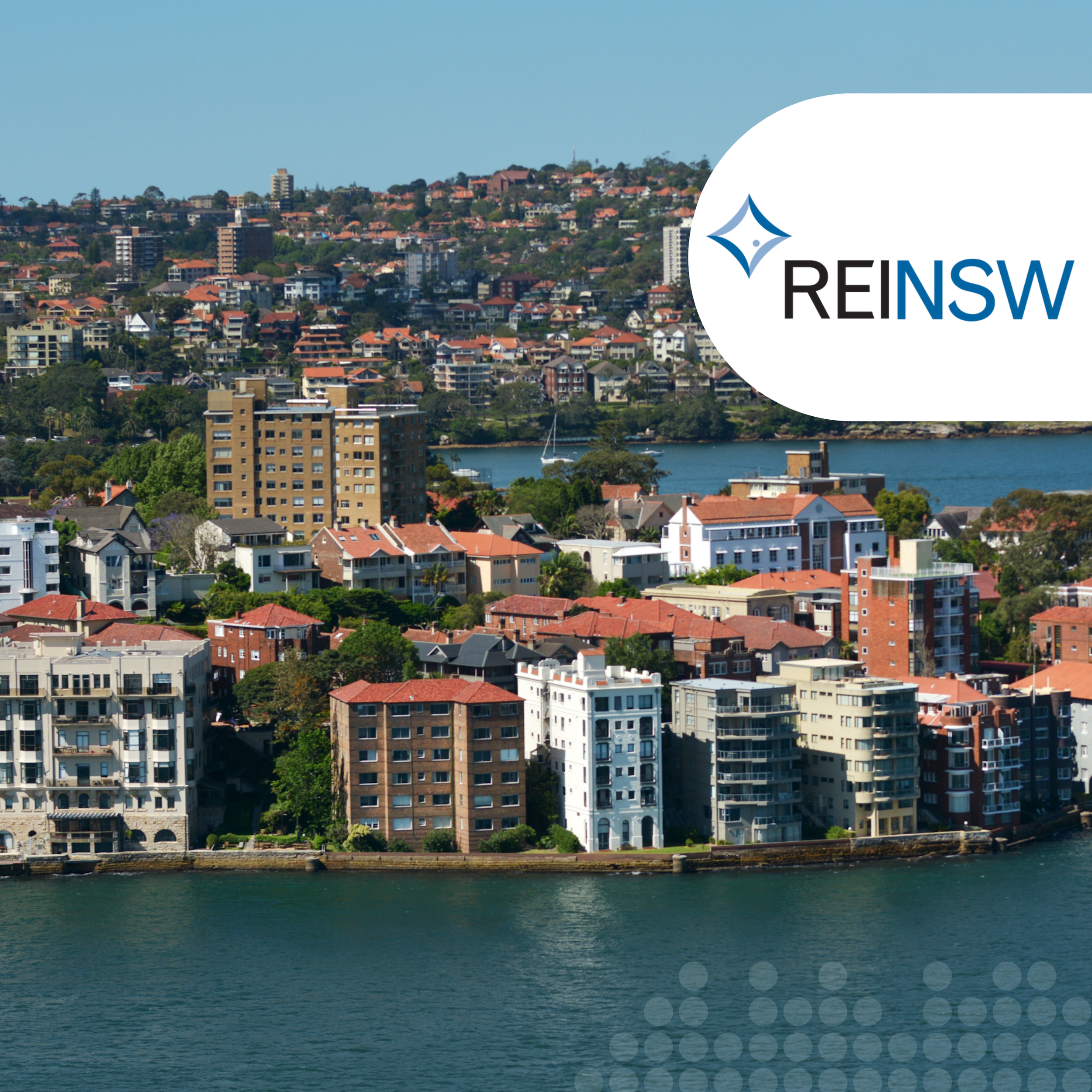 REINSW Case Study Website Image.png