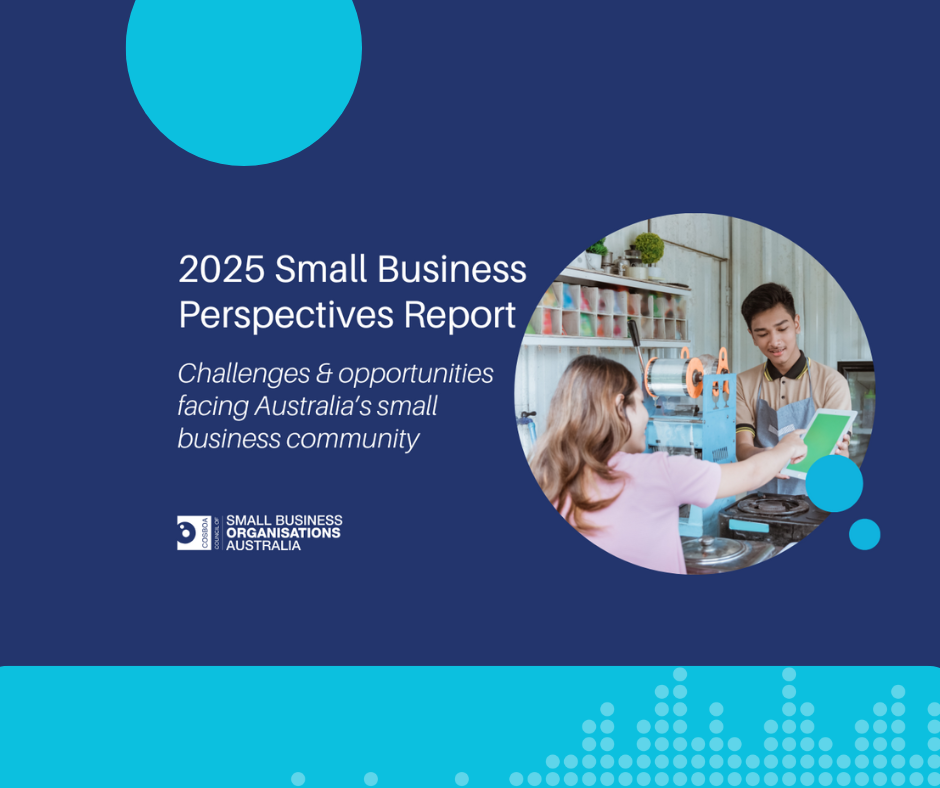 COSBOA 2025 Small Business Perspectives Report