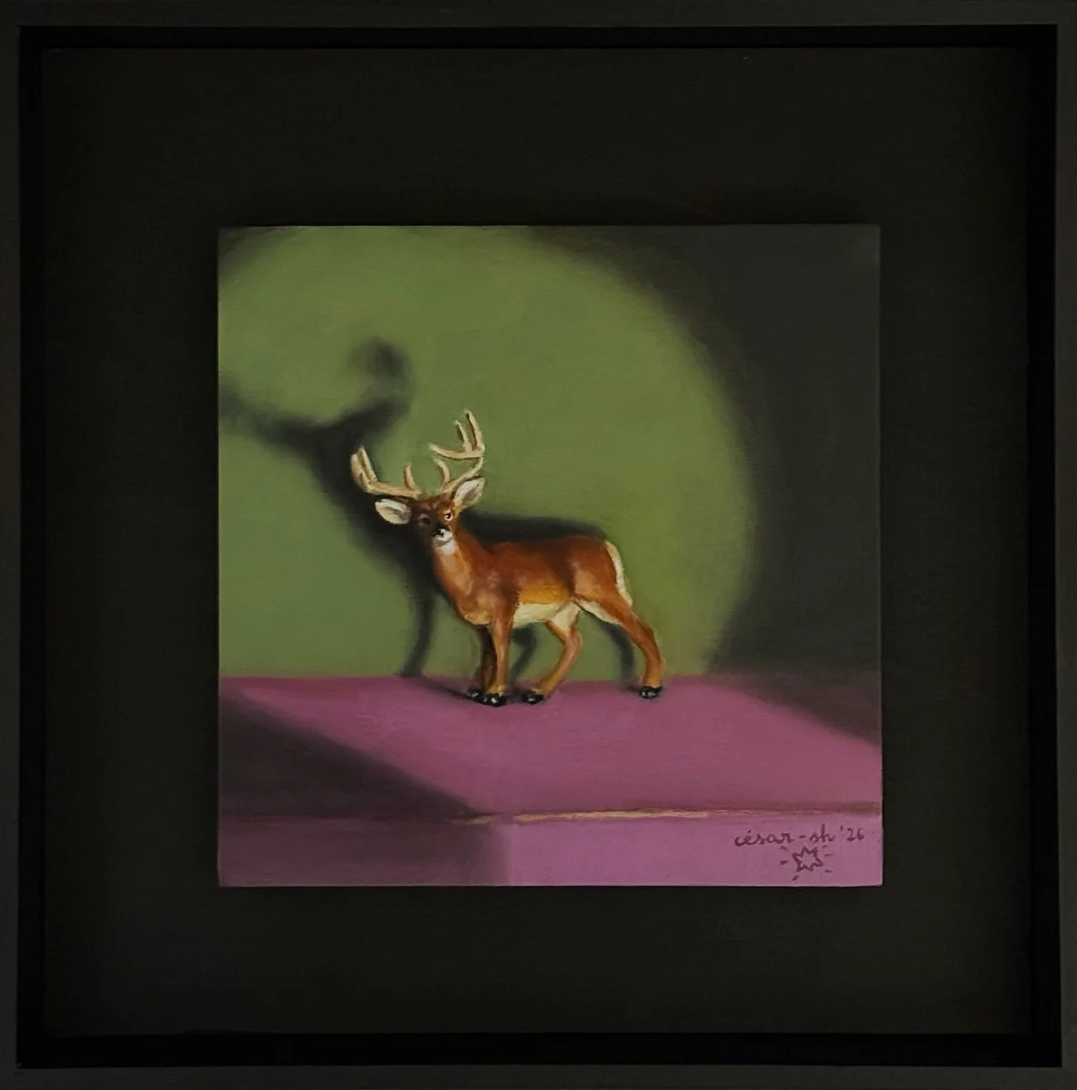 Cesar Sanchez-Huertas | The Ermit