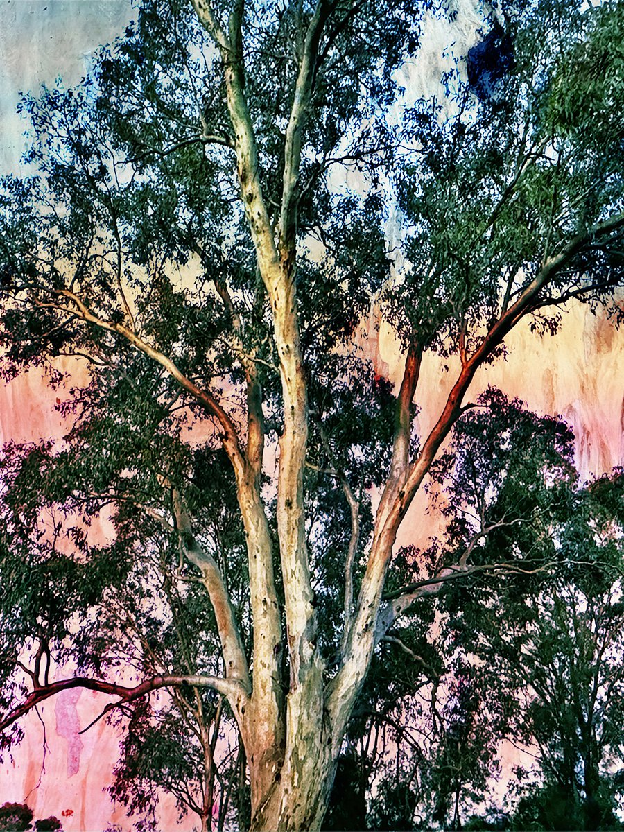 f30640d4-2e6c-4e3a-9d9c-3dae139830a7-l.jpg