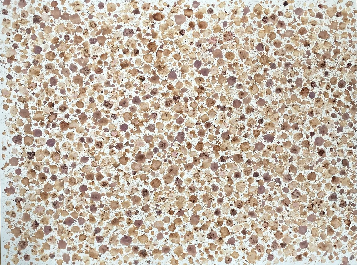 Shayne O'Donnell | Mulberry Field #1