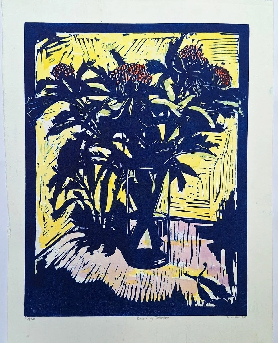 Alice Nixon | Brooding Telopea