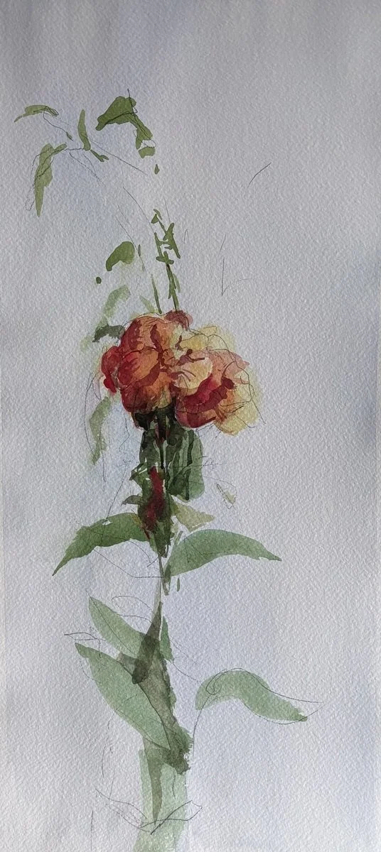 Raphael Chambers | Nasturtium 1