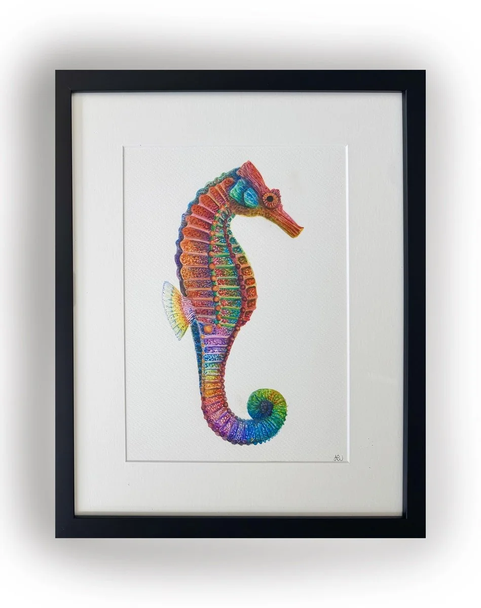 Alycia Page Wilson | Pacific Seahorse