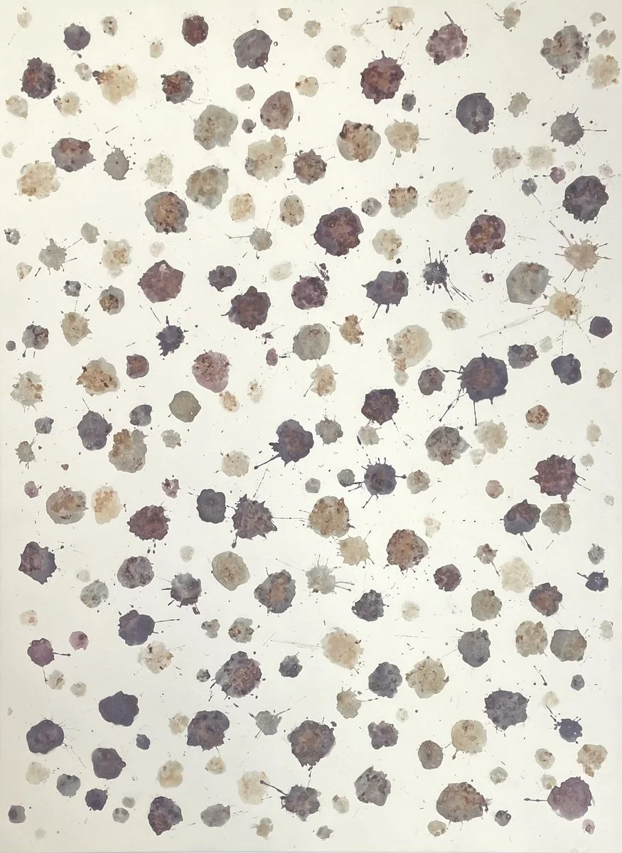 Shayne O'Donnell | Five Trees