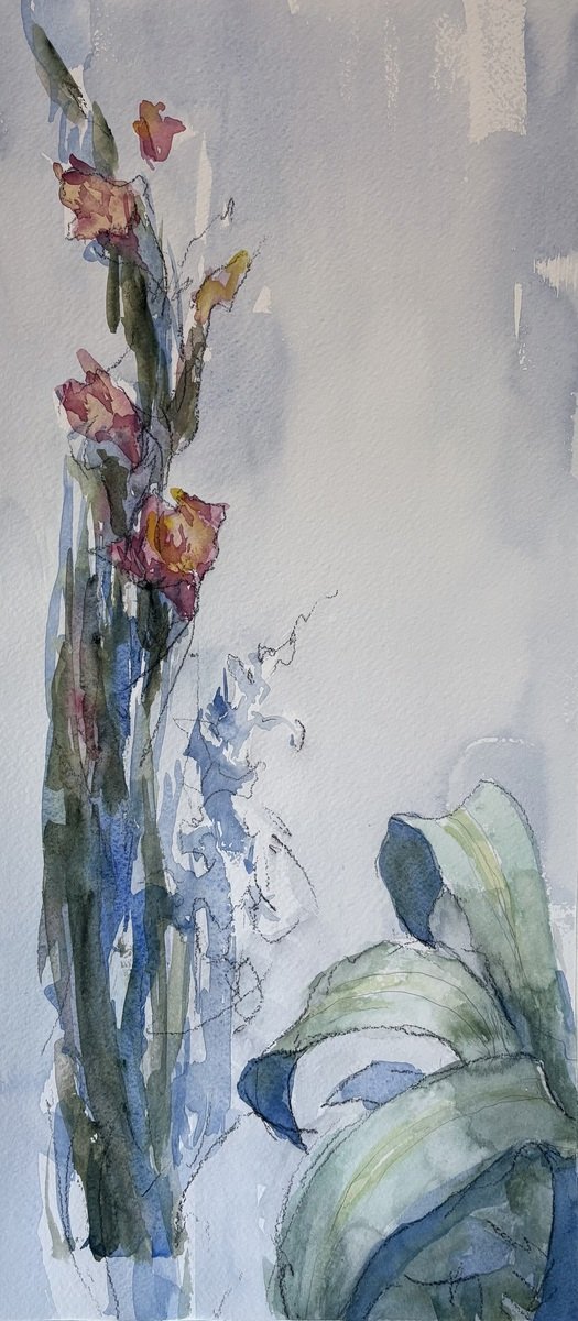 Raphael Chambers | Gladioli 1