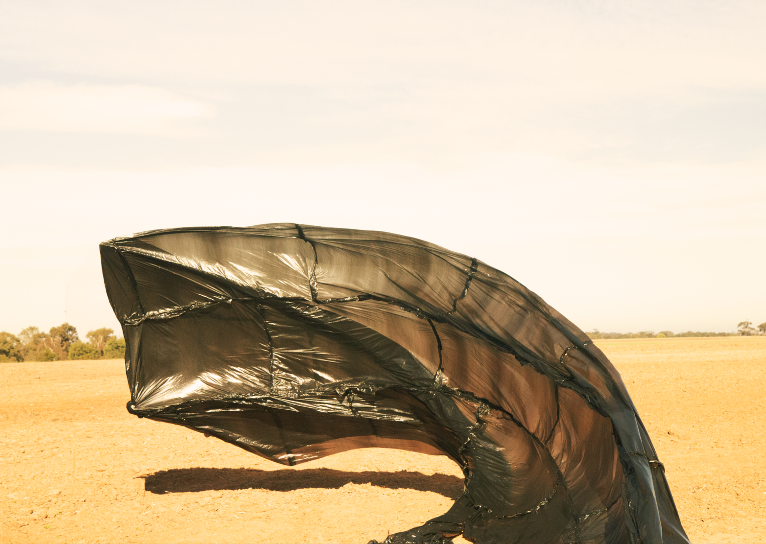 Branka Uljarevic | Grief