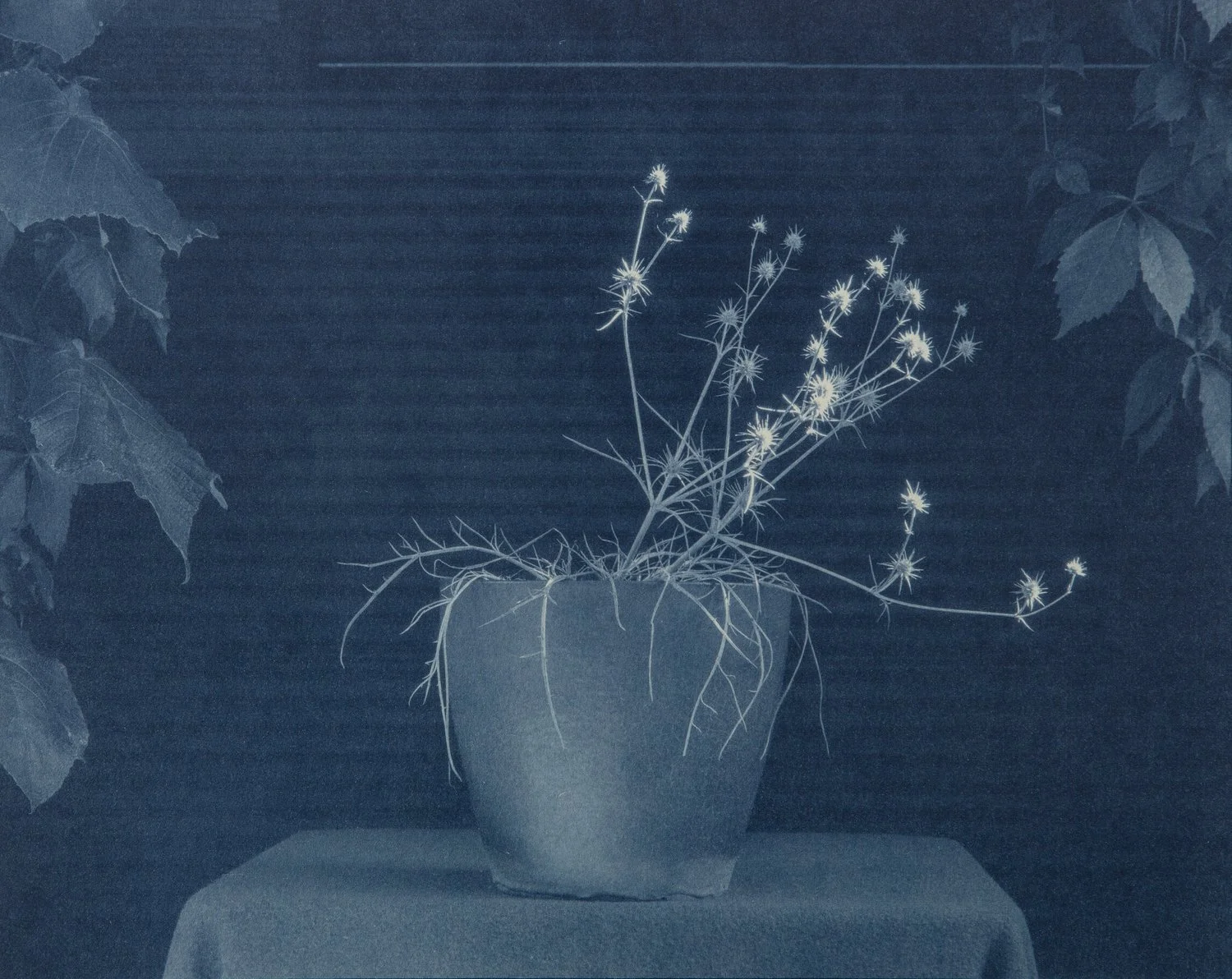 DIANNA WELLS | Blue Devil #2