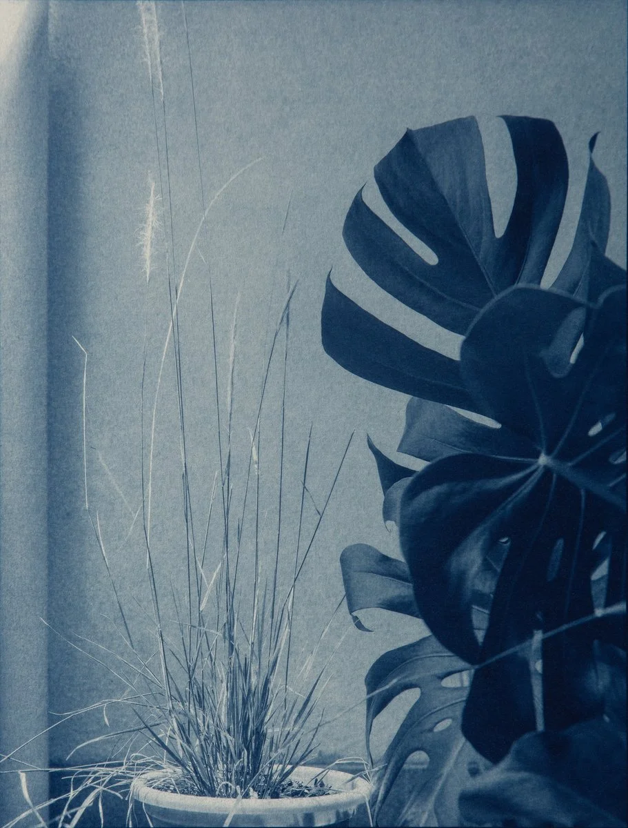 DIANNA WELLS | Long Hair Plume Grass and Exotic Plant
