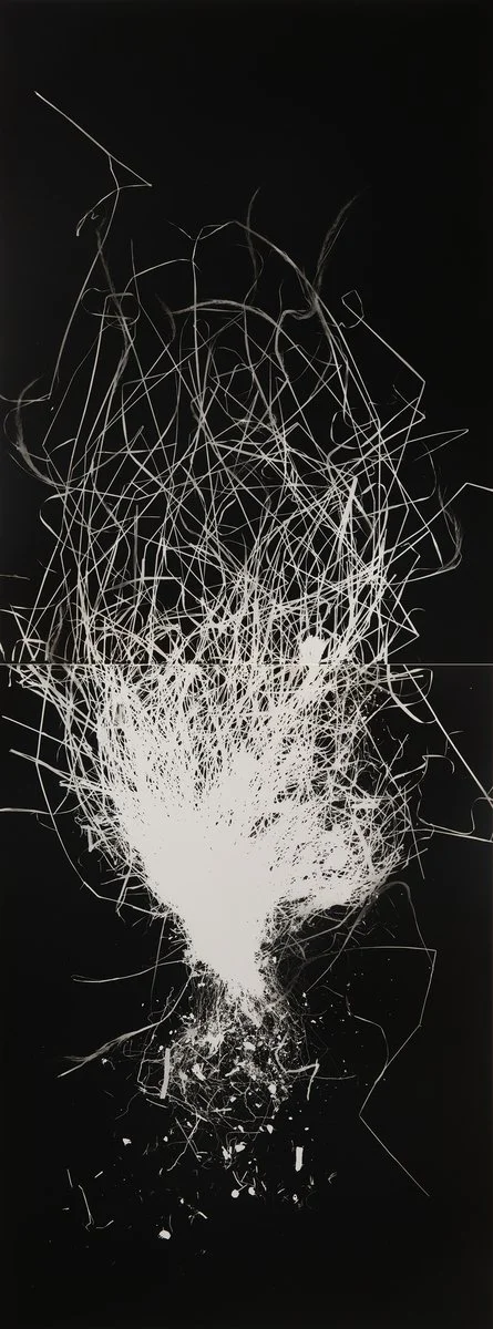DIANNA WELLS | Long Hair Plume Grass