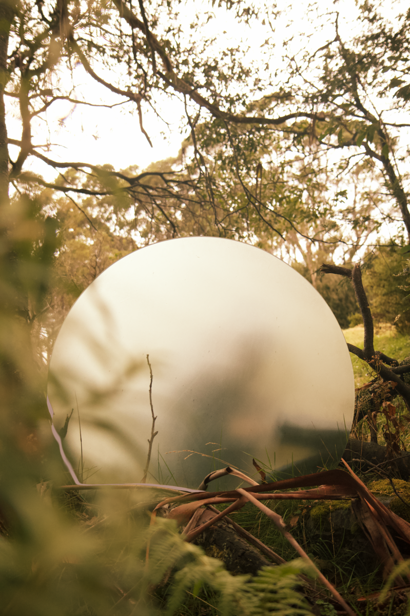 BRANKA ULJAREVIC forest sun.png