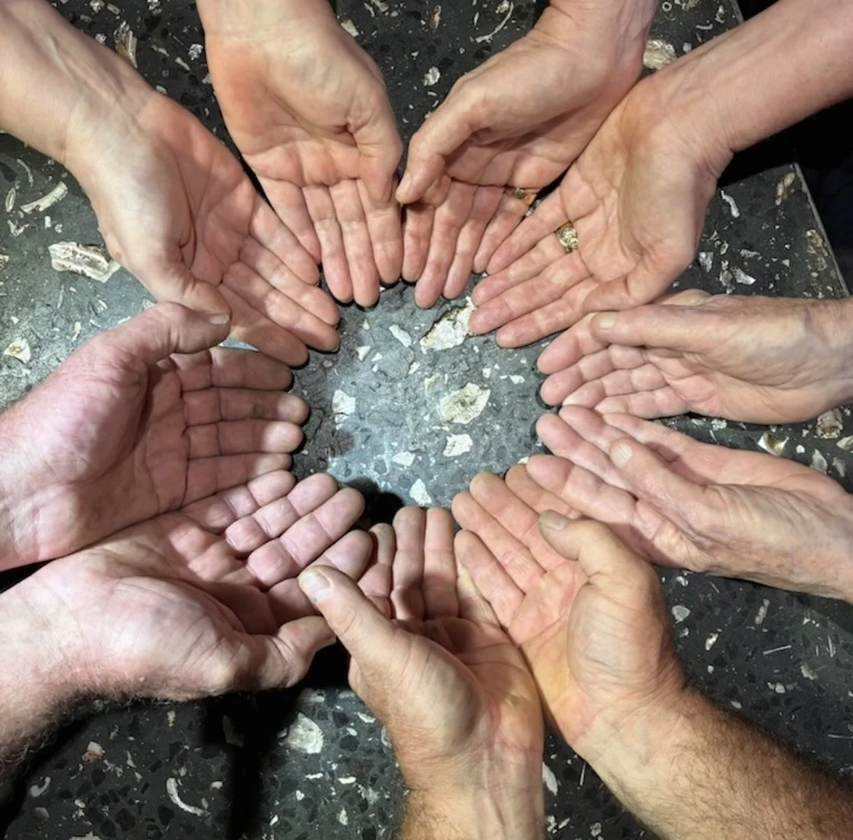 The Connected Vessel.jpeg