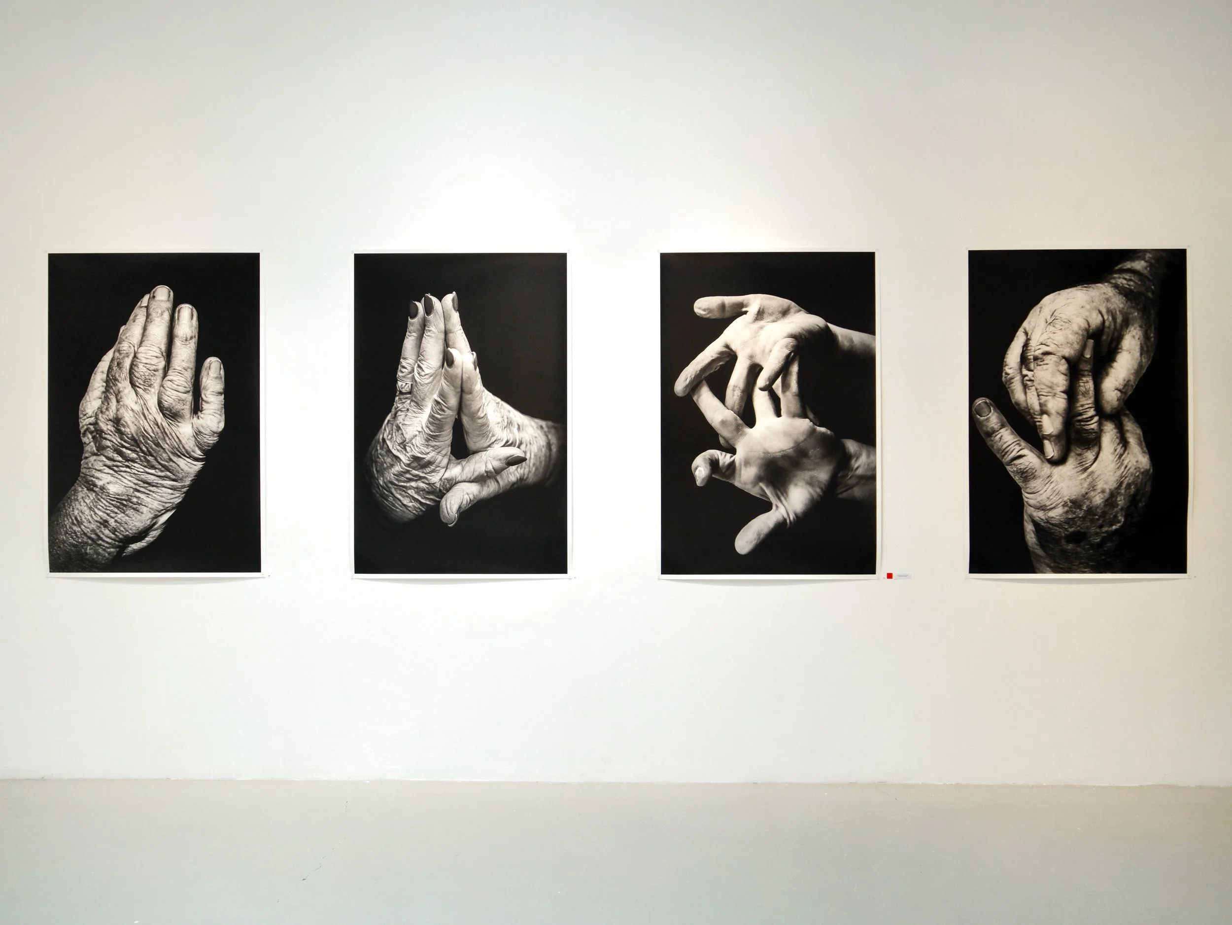 4dc591406bec20dece16e16b2e10897e 2.JPG