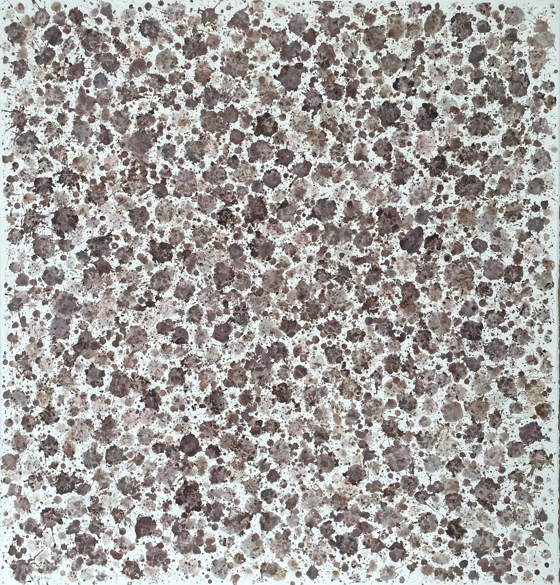 Shayne O'Donnell | Mulberry Field #2