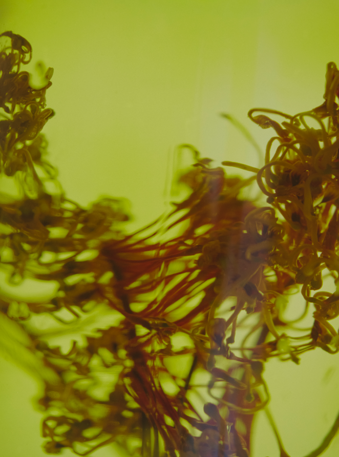 61. Greta Richmond | Transcend