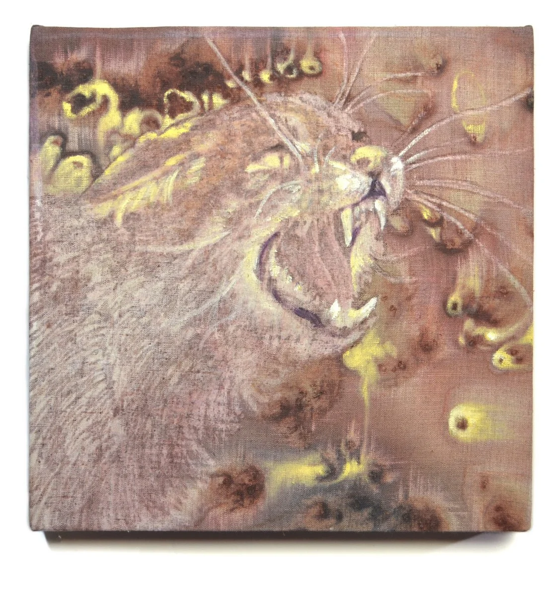 Bonnie-Jean Whitlock Small Fury.jpg