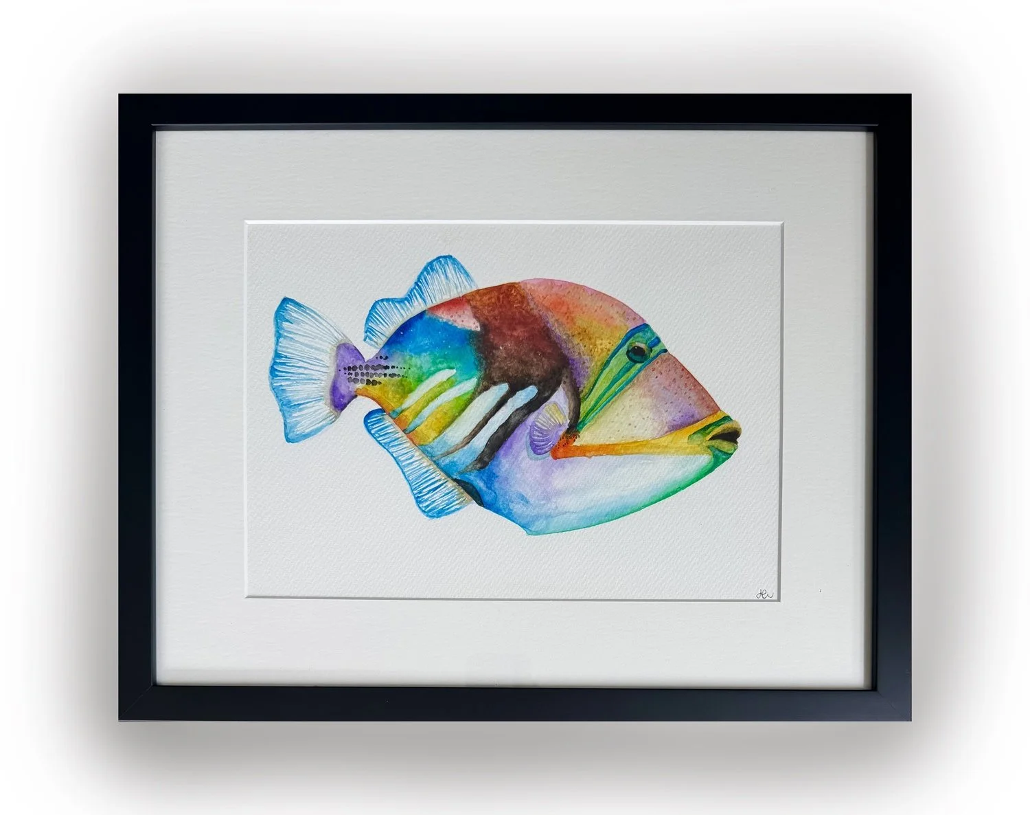 Alycia Page Wilson | Picasso Triggerfish