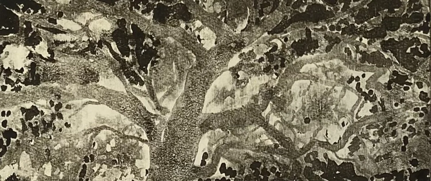 Robyn Blaikie From Above, Booroorban NSW.jpg