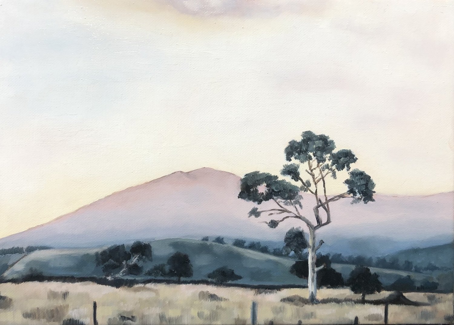 Jennifer Henderson | The Mount